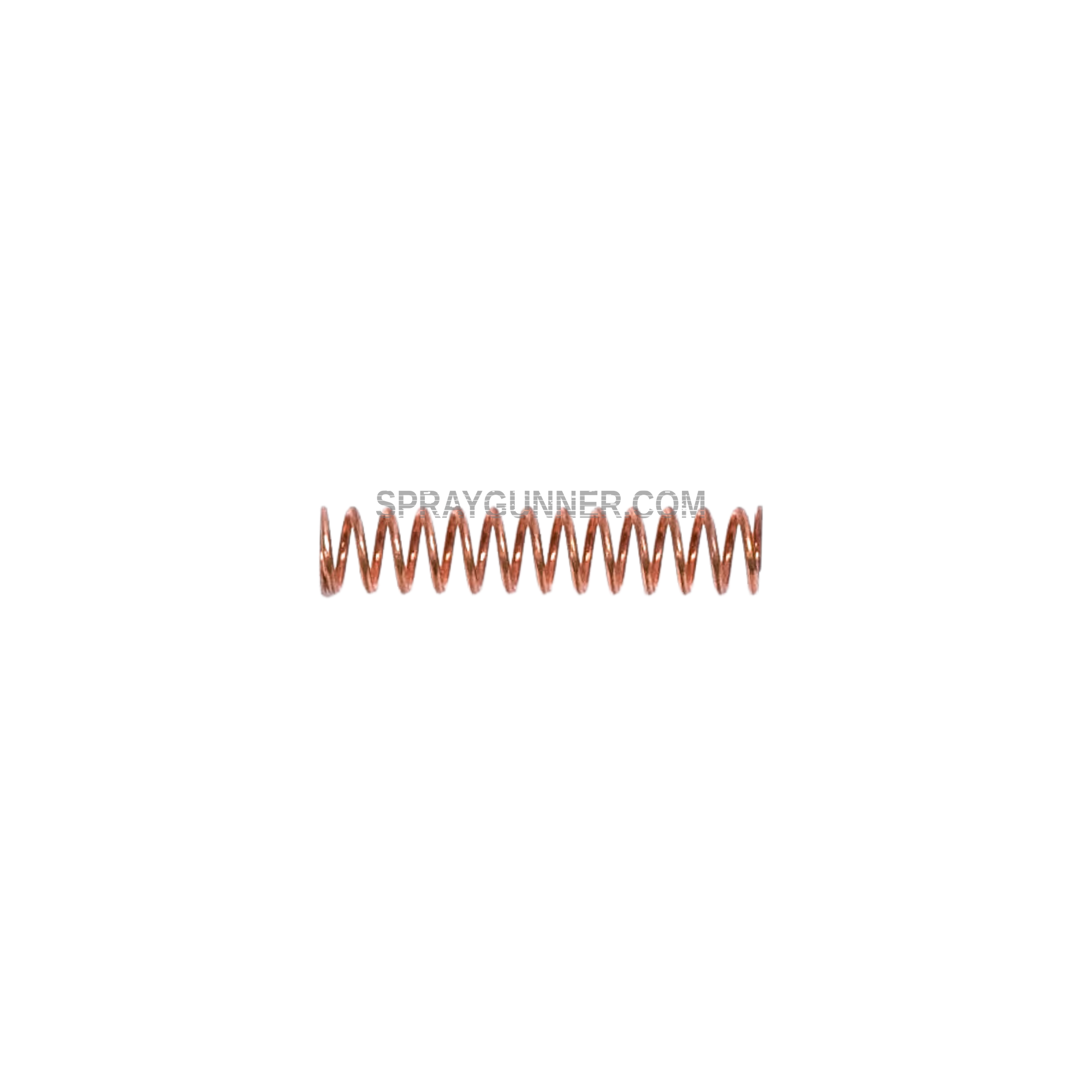 RichPen 29719 Valve Spring